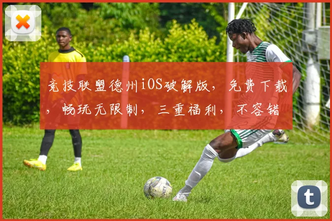 竞技联盟德州iOS破解版，免费下载，畅玩无限制，三重福利，不容错过，立即体验