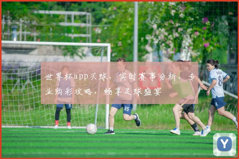 世界杯app买球，实时赛事分析，专业购彩攻略，畅享足球盛宴