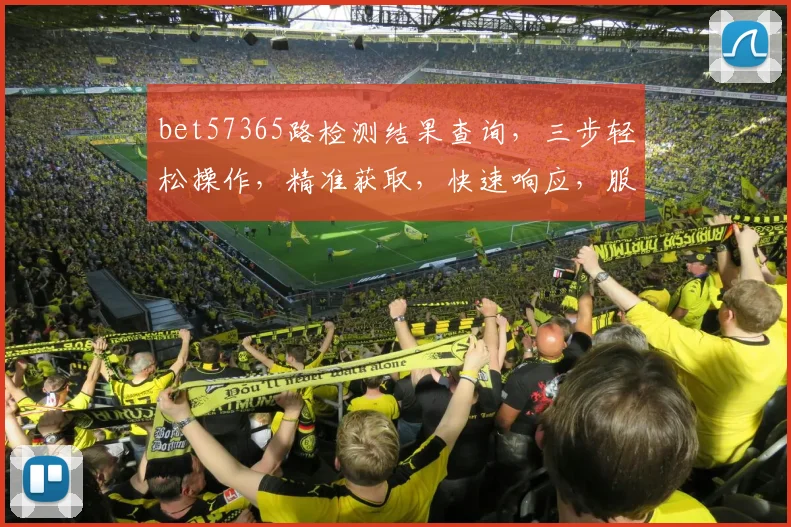 bet57365路检测结果查询，三步轻松操作，精准获取，快速响应，服务无忧，三个关键点必看