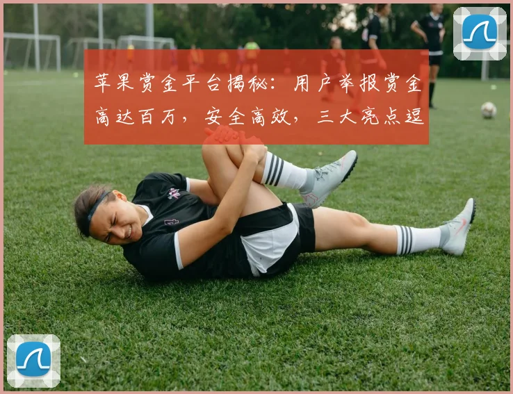 苹果赏金平台揭秘：用户举报赏金高达百万，安全高效，三大亮点逗你笑