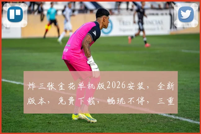 炸三张金花单机版2026安装，全新版本，免费下载，畅玩不停，三重惊喜等你来